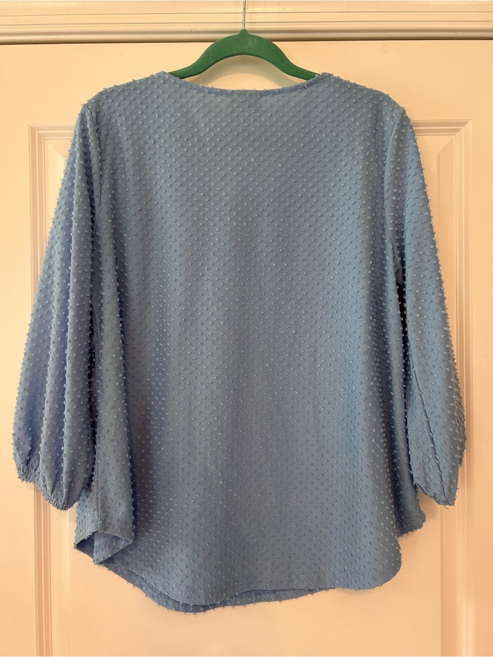 Ruby Rd. Powder Blue Swiss Dot Scoop Neck Top - Picture 3 of 4